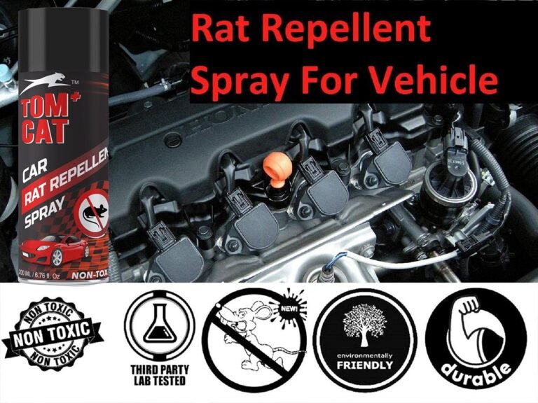 How to avoid Rat problem in car How to avoid Rat problem in car